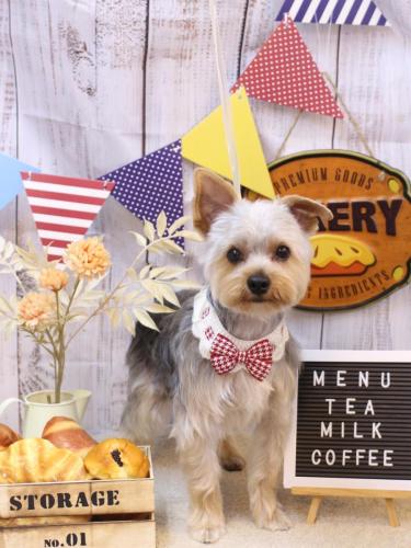 20240922モコナくん